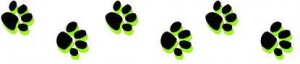 Shop at GFS and Help the Parma Animal Shelter.