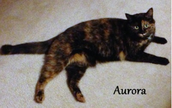 Aurora