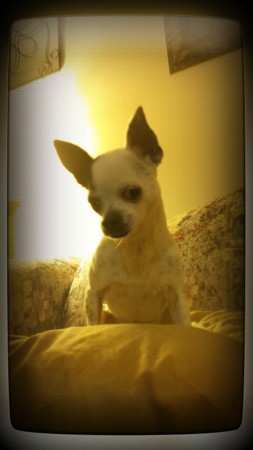 Jack