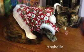 Anabelle