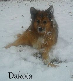 Dakota