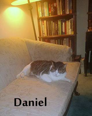 Daniel