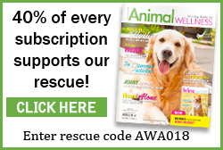 Become an On Going Partner of the Parma Animal Shelter like Animal Wellness Magazine.