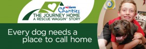 Become an On Going Partner of the Parma Animal Shelter like PetSmart Charities.