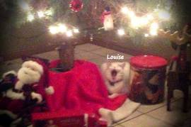 Louise