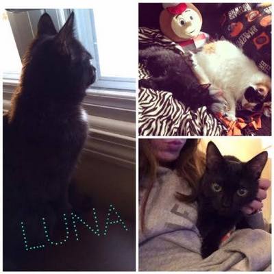Luna