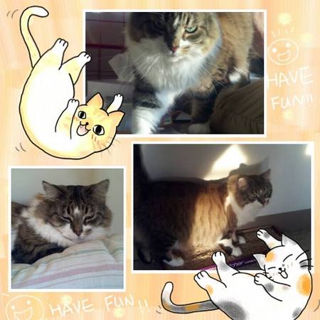 Mitzy