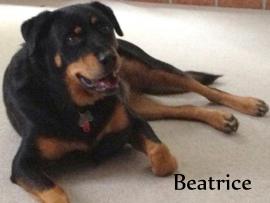 Beatrice