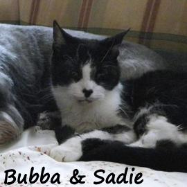 Bubba and Sadie