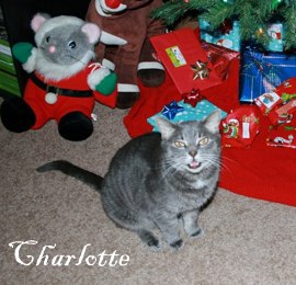 Charlotte