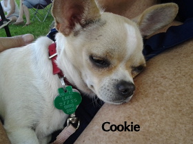 Cookie