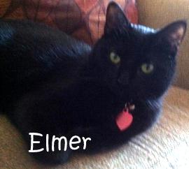 Elmer