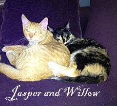 Jasper and Willow