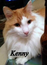 Kenny