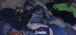 Louise