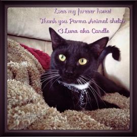 Luna