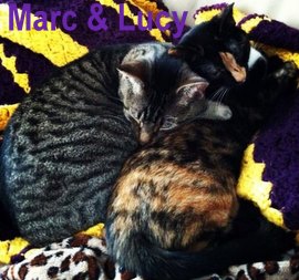 Marc and Lucy