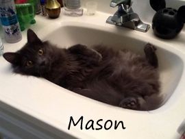 Mason
