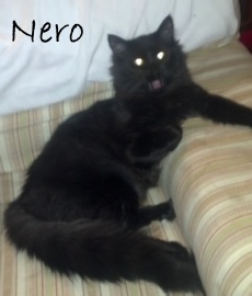 Nero