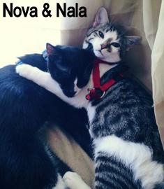 Nova and Nala