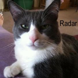 Radar