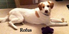 Rofus