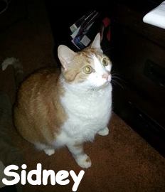 Sidney