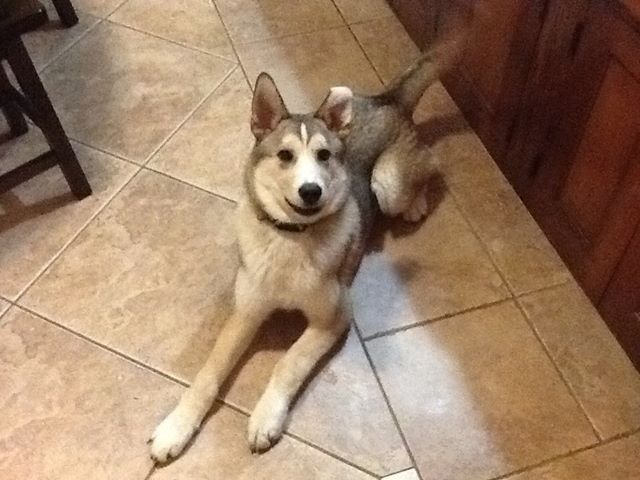 Timber