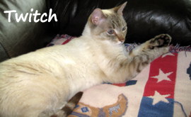 Twitch