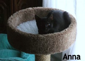 anna