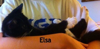 Elsa