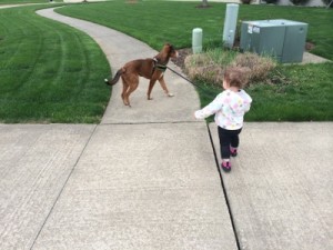 rigby2