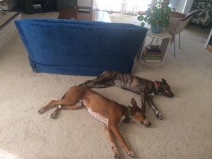 rigby3