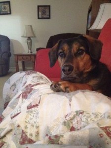 roscoe100