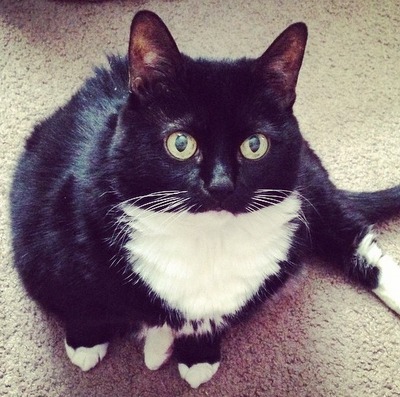 Bellatrix (formerly Libby)