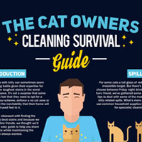 Cat Owners Cleaning Survival Guide
