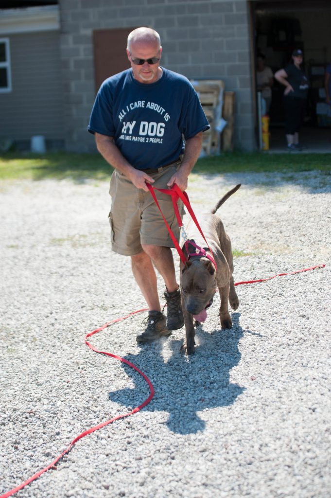 Volunteers participate in American Kennel Club Good Citizen dog