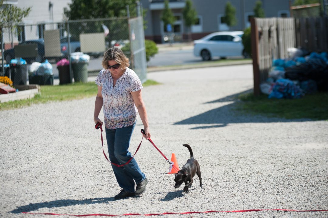 Volunteers participate in American Kennel Club Good Citizen dog