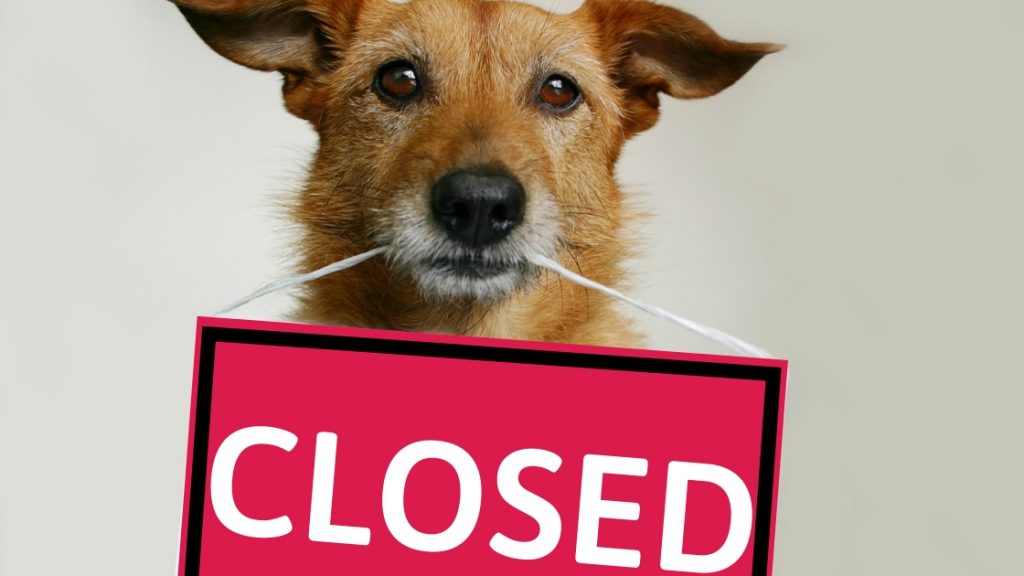 CLOSEDdogheader1024x576 Parma Animal Shelter