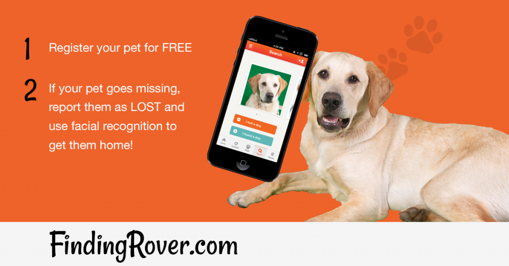 Dogs Parma Animal Shelter