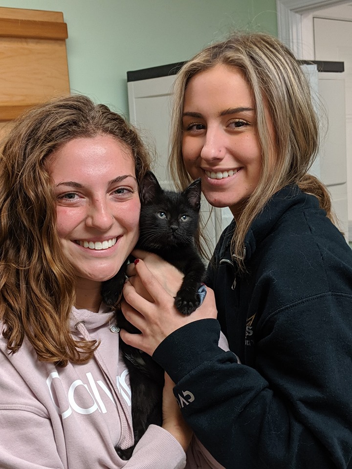 Putnam Parma Animal Shelter