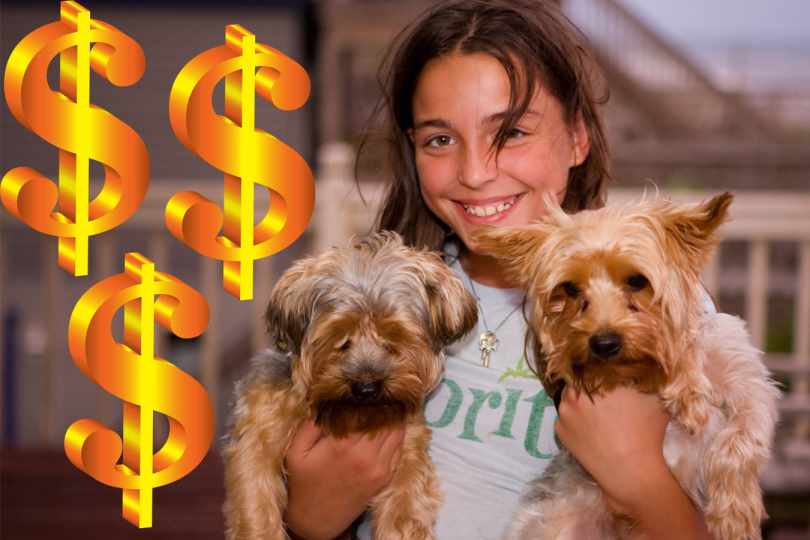 The True Cost of Having a Dog