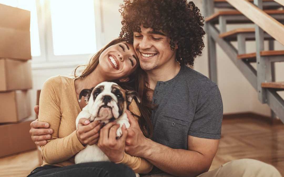 You were gifted a pet unexpectedly — now what?
